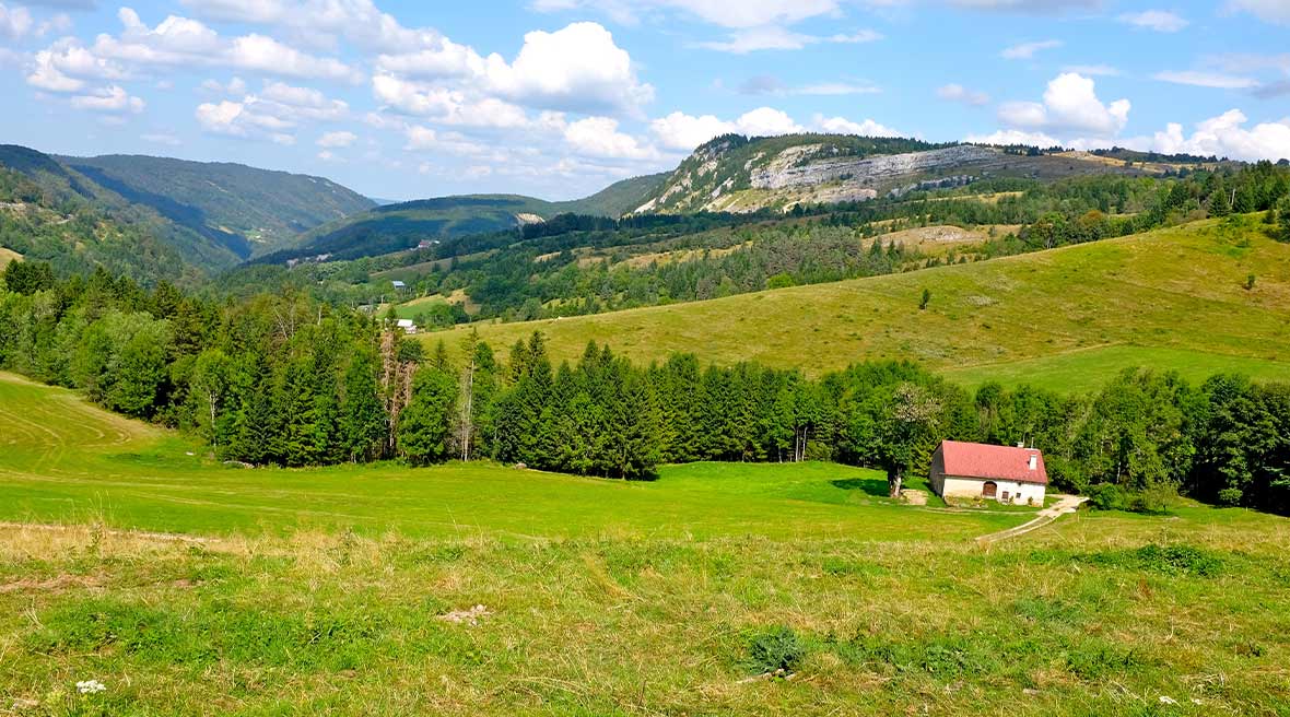 Dairy farmers have been grazing their herds and making cheese in these hills for centuries
